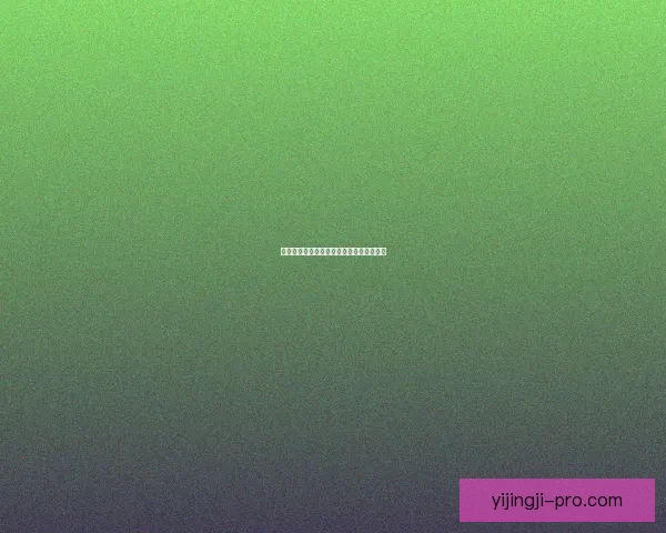 惩戒骑士输出技巧与伤害提升策略全面解析